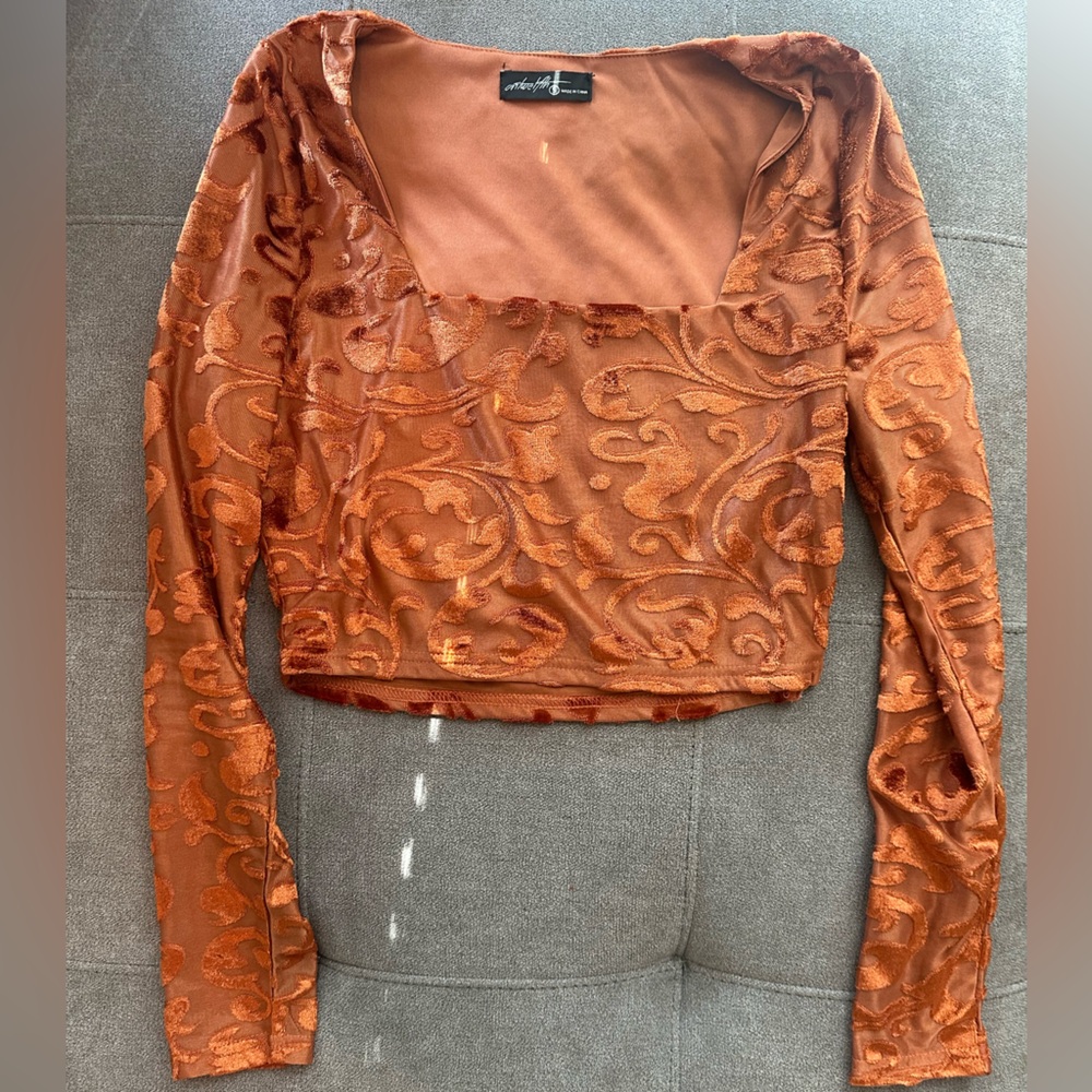 Velvet Burnt Orange Blouse